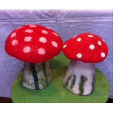 Mushroom Show PCs 